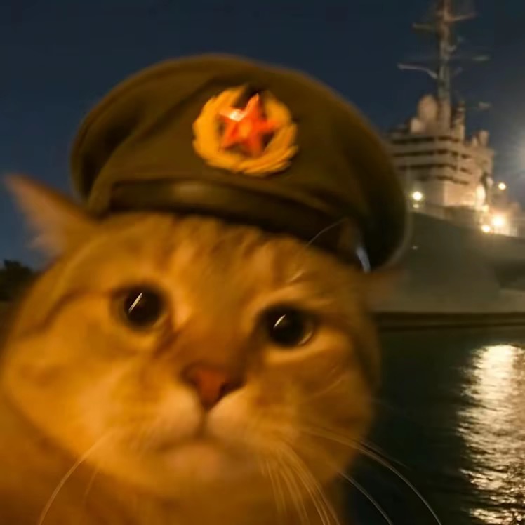 认准 【林一北】